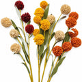 Artificial Pompom Flower Stems Set of 5, 17-Inch Burgundy Gold Rust Cream