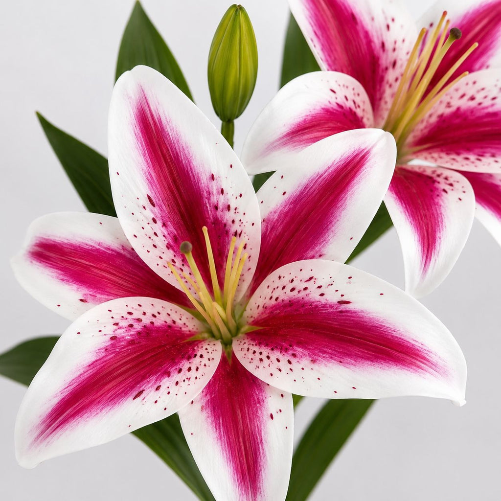 Real Touch Pink Stargazer Lily Stems Set of 2 Artificial Stargazer Lilies Faux Lily Flowers Wedding Bouquet Flowers French Country Decor