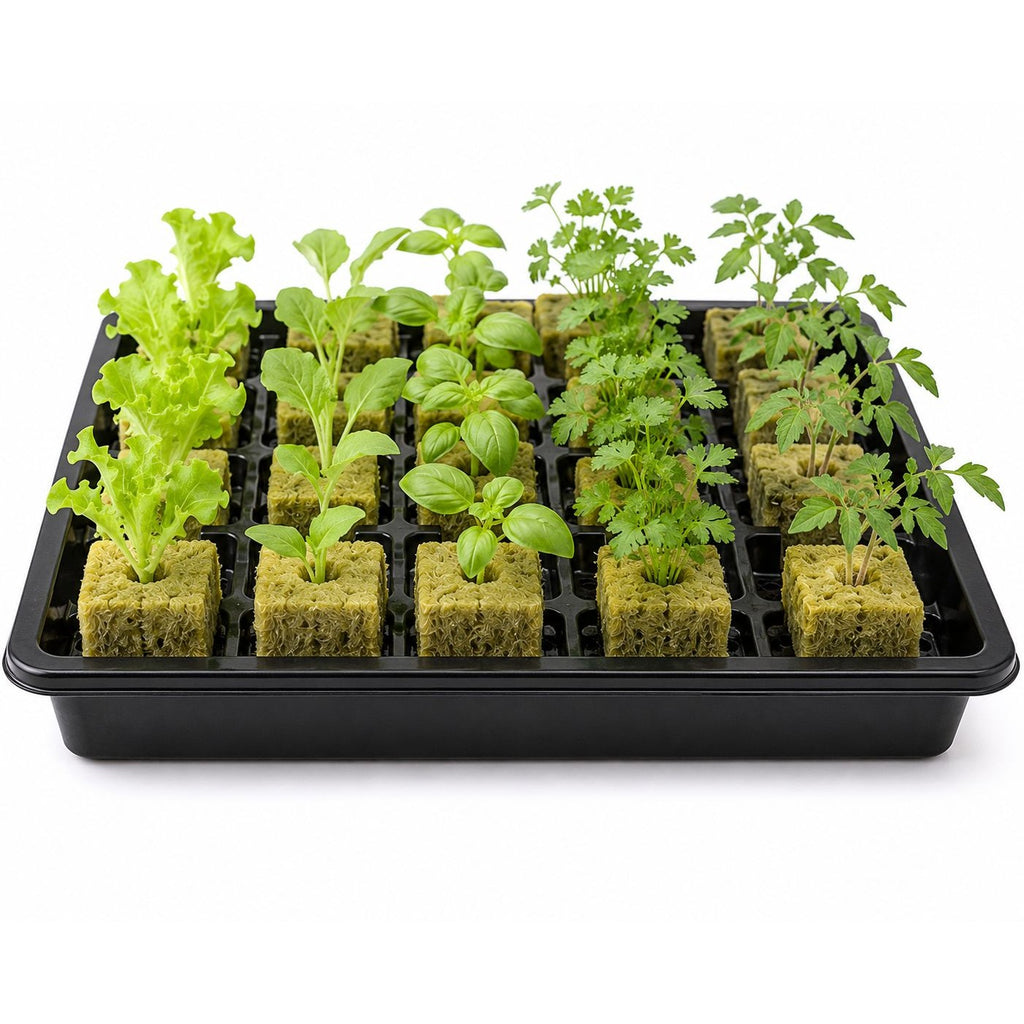 100 Rockwool Growing Cubes, 1 Inch Hydroponic Seed Starter Cubes, Plant Cloning Cubes, Herb Garden Growing Medium
