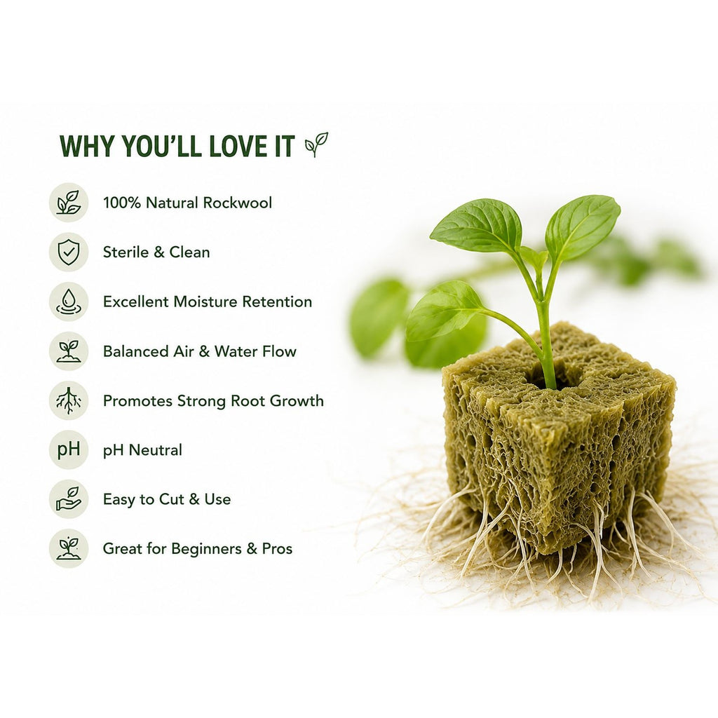 100 Rockwool Growing Cubes, 1 Inch Hydroponic Seed Starter Cubes, Plant Cloning Cubes, Herb Garden Growing Medium