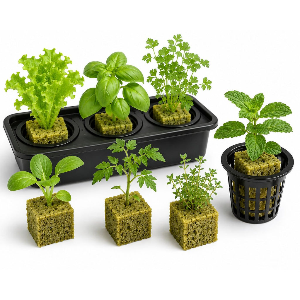 100 Rockwool Growing Cubes, 1 Inch Hydroponic Seed Starter Cubes, Plant Cloning Cubes, Herb Garden Growing Medium