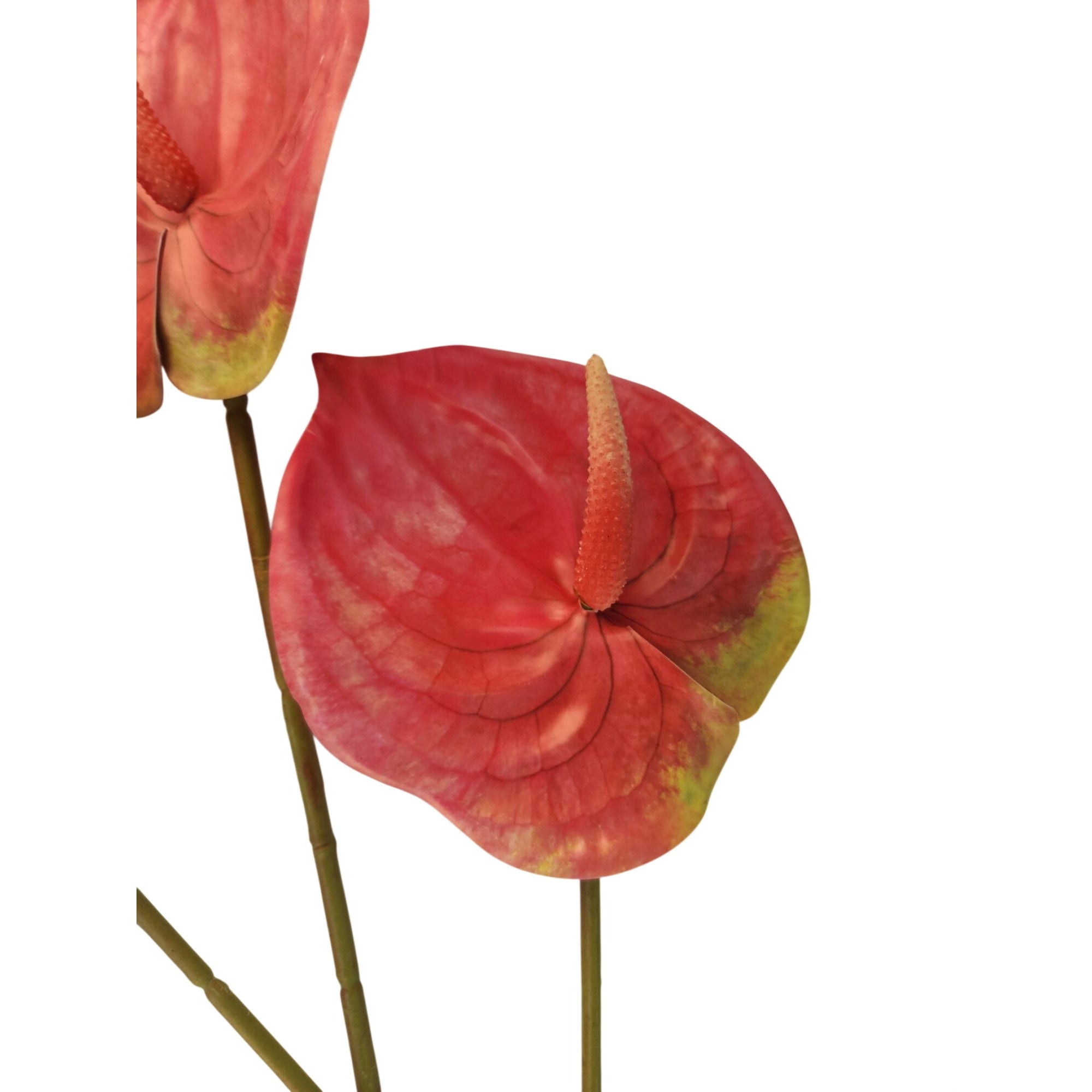 Pink Artificial Anthurium Stems Set of 3, 23 Inch Faux Modern Tropical Decor