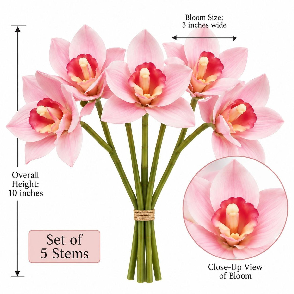 Blush Pink Real Touch Cymbidium Orchid Stems, Set of 5 Faux Flowers