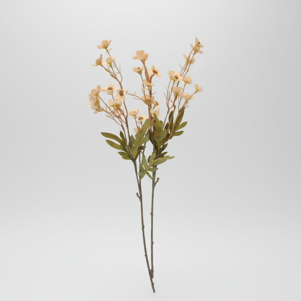 Artificial Cream Beige Dogwood Stems 2 Pcs Faux Wax Flower Neutral Ivory Floral Home Decor 24 Inch