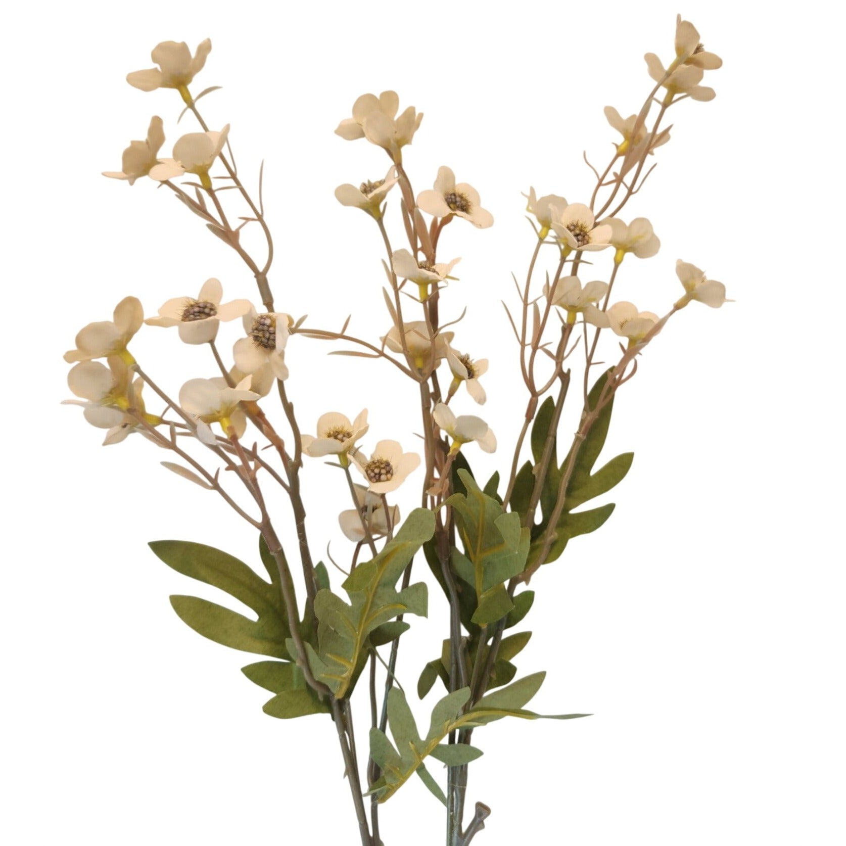 Artificial Cream Beige Dogwood Stems 2 Pcs Faux Wax Flower Neutral Ivory Floral Home Decor 24 Inch