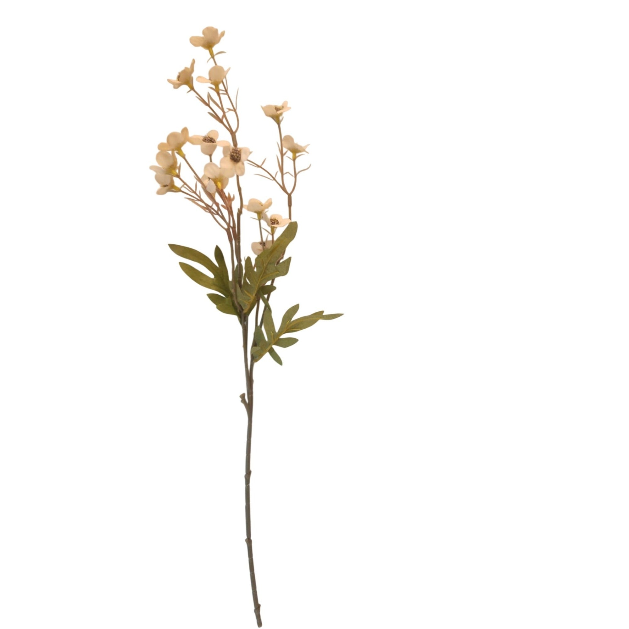 Artificial Cream Beige Dogwood Stems 2 Pcs Faux Wax Flower Neutral Ivory Floral Home Decor 24 Inch