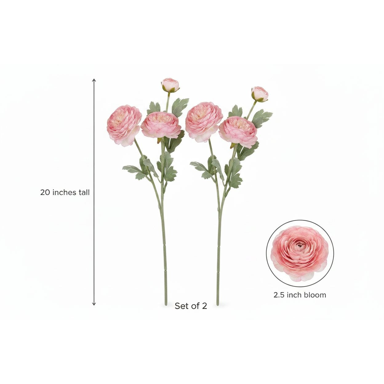 Two artificial pink ranunculus flower stems with green leaves, shown on a white background with a height marker of 20 inches tall and a circular inset showing a 2.5-inch bloom detail.