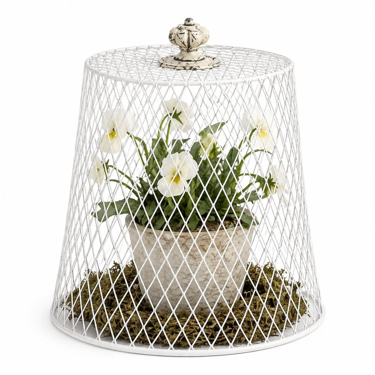 White Wire Mesh Basket Garden Cloche Plant Cover Vintage Style Chicken Protector DIY Farmhouse Decor