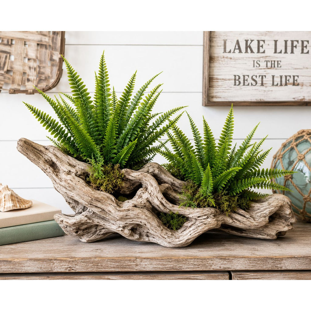 Ferns in a driftwood planter on a shelf with a 'Lake Life is the Best Life' sign in the background.