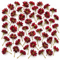42 Burgundy Mini Daisy Flowers, 1 Inch Artificial Silk Wine Red Craft Blooms