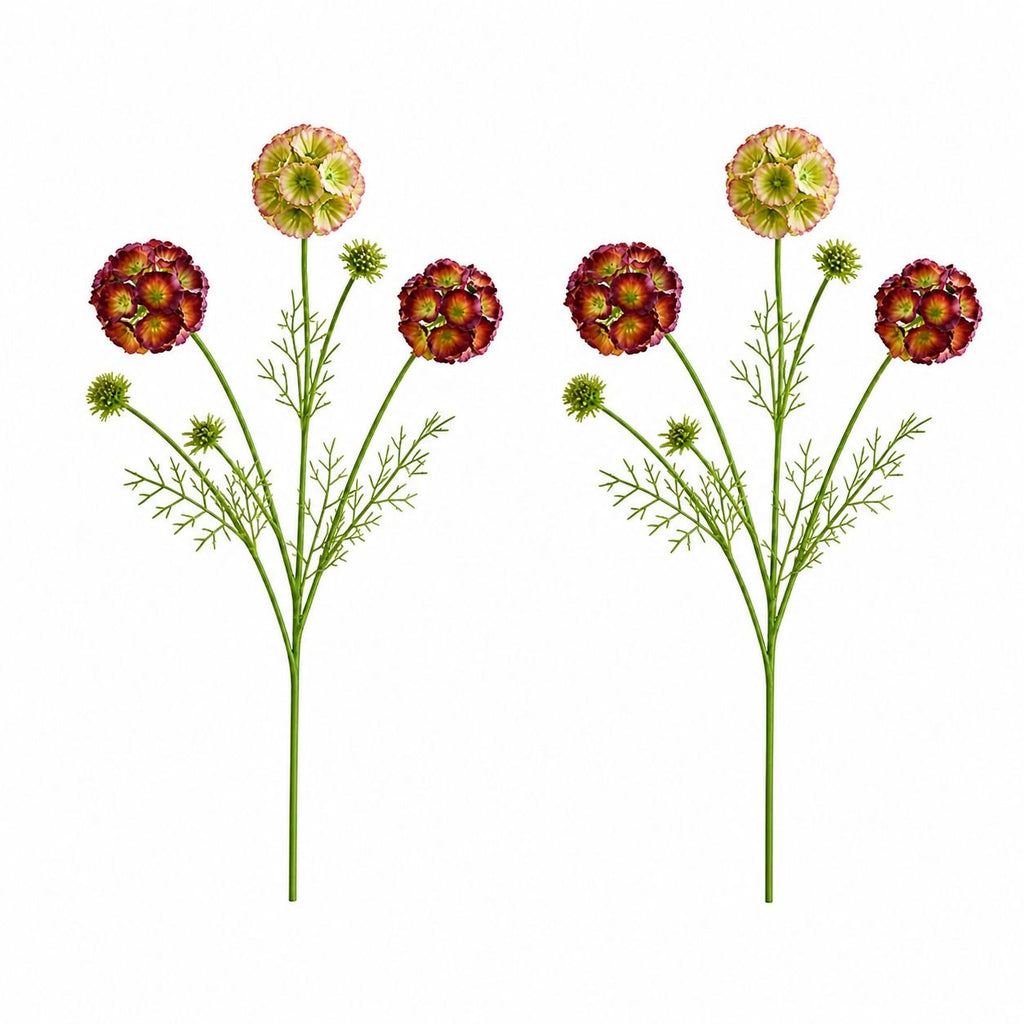 Artificial Scabiosa Flower Stems Green Blush Burgundy Faux Wildflower Cottage Floral Filler 24 Inch Set of 2