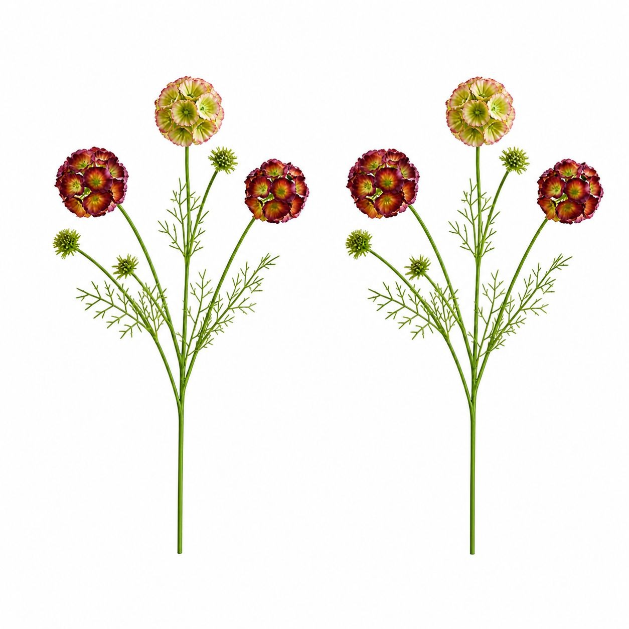 Artificial Scabiosa Flower Stems Green Blush Burgundy Faux Wildflower Cottage Floral Filler 24 Inch Set of 2