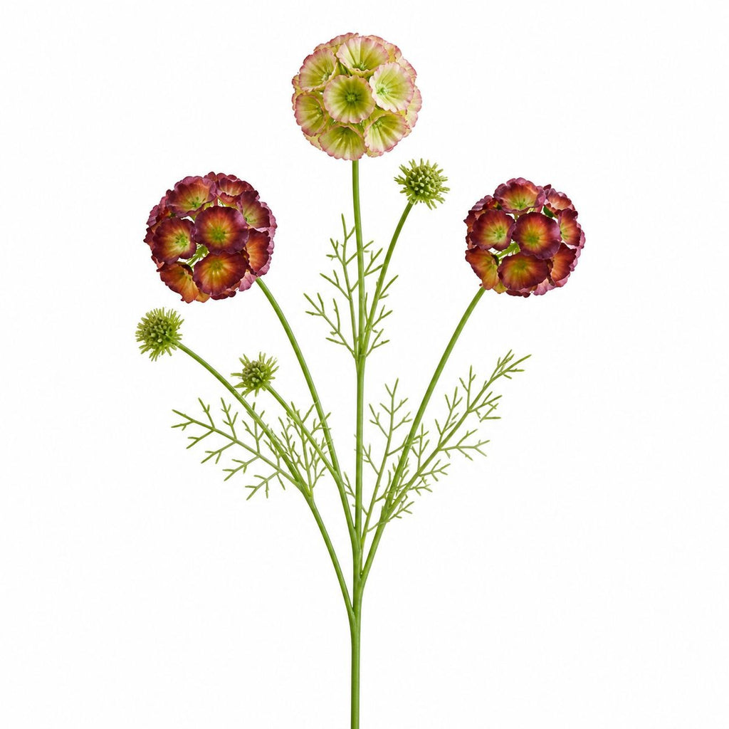 Artificial Scabiosa Flower Stems Green Blush Burgundy Faux Wildflower Cottage Floral Filler 24 Inch Set of 2
