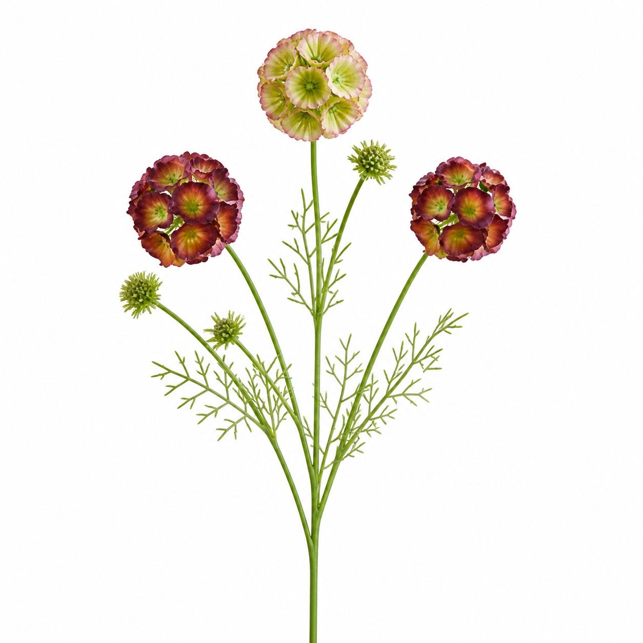 Artificial Scabiosa Flower Stems Green Blush Burgundy Faux Wildflower Cottage Floral Filler 24 Inch Set of 2