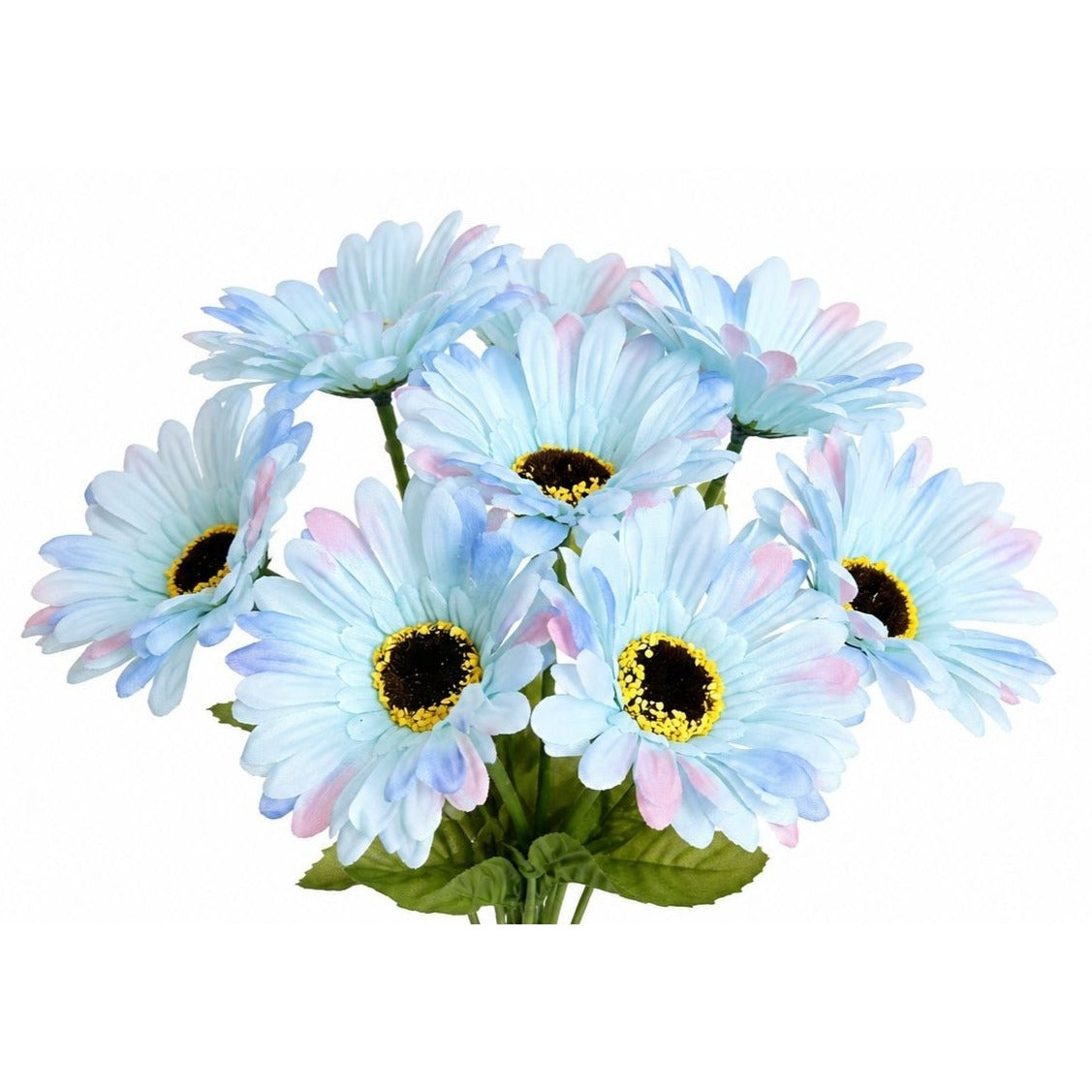 Bouquet of light blue flowers with green stems on a white background