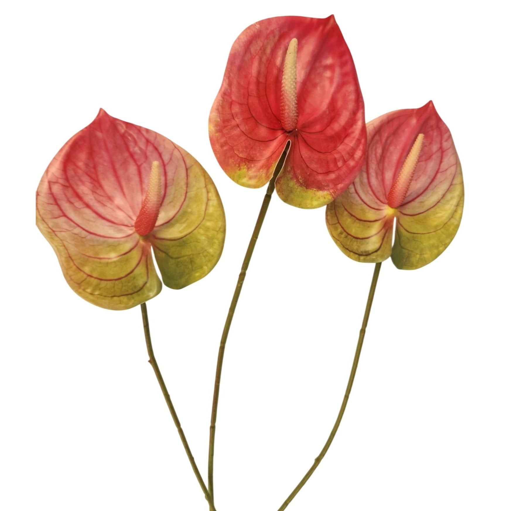 Pink Green Artificial Anthurium Stems Set of 3, 23 Inch Faux Tropical Home Decor