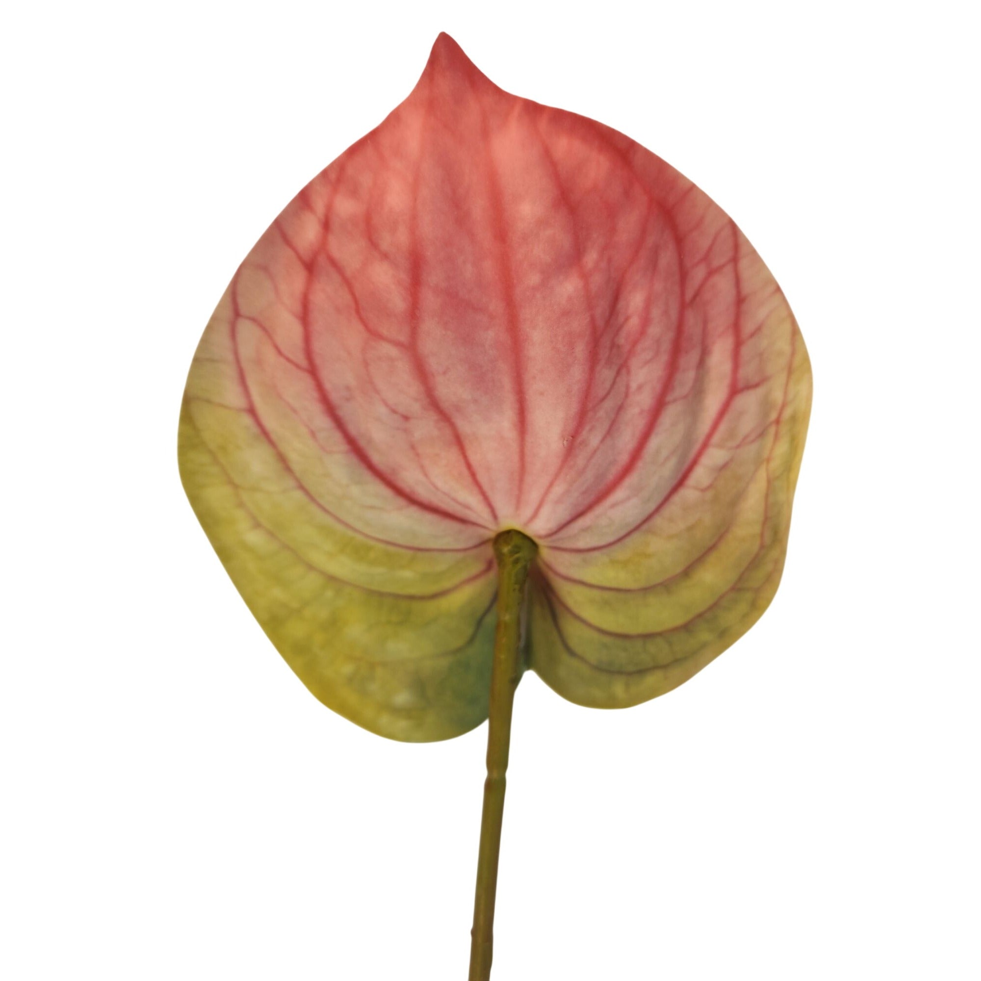 Pink Green Artificial Anthurium Stems Set of 3, 23 Inch Faux Tropical Home Decor