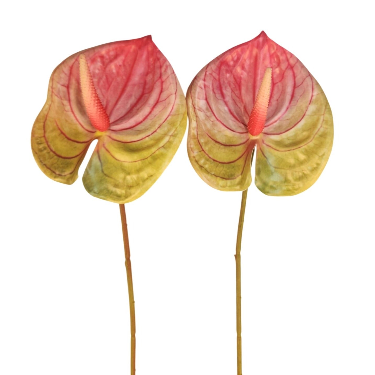 Pink Green Artificial Anthurium Stems Set of 3, 23 Inch Faux Tropical Home Decor