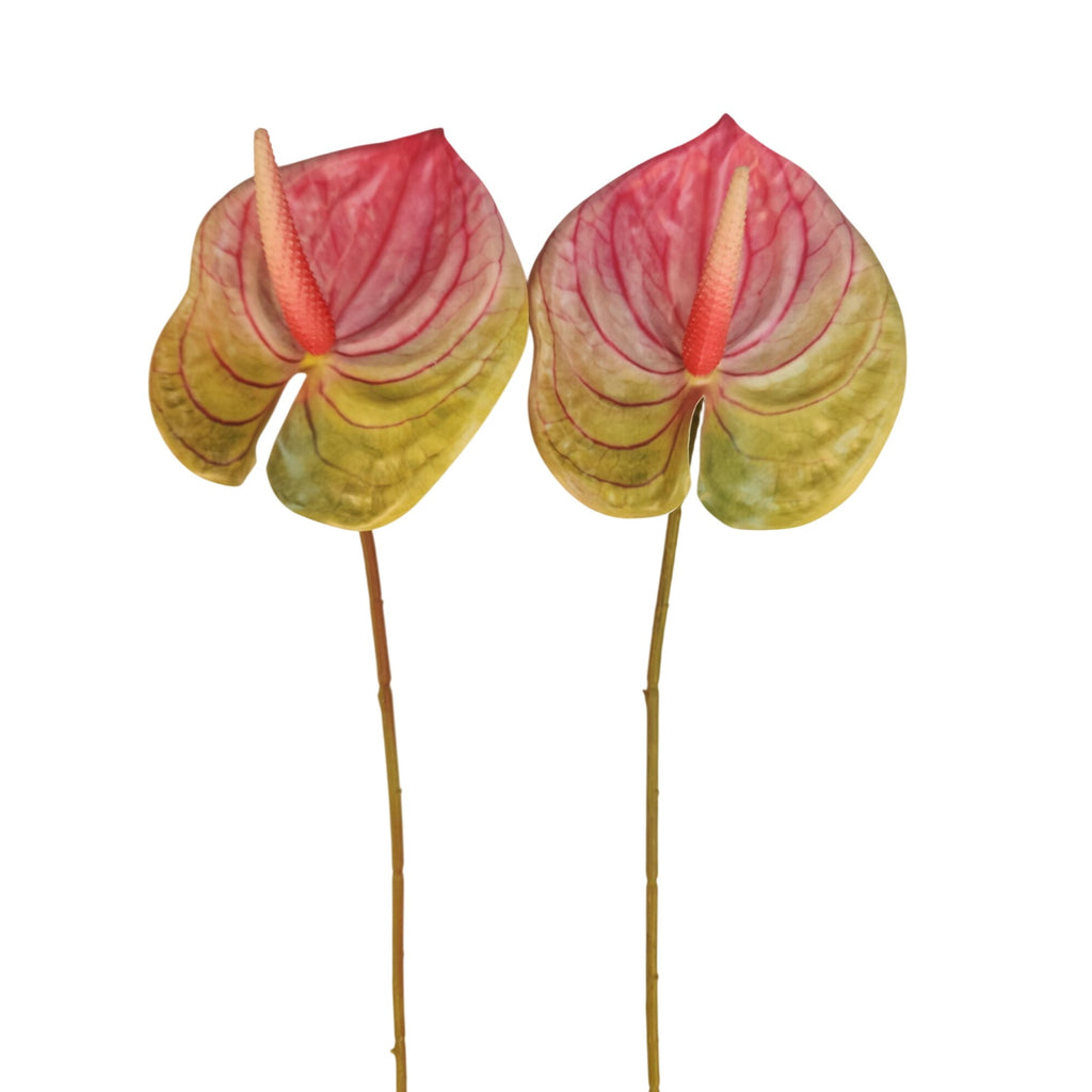 Pink Green Artificial Anthurium Stems Set of 3, 23 Inch Faux Tropical Home Decor