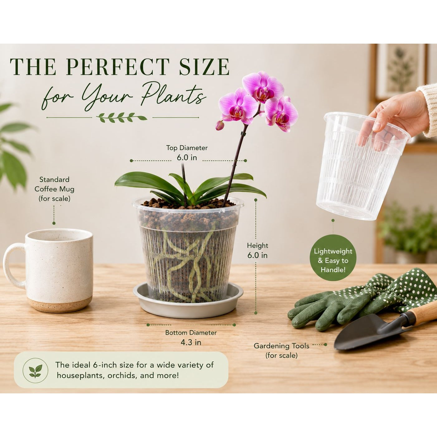 6 Inch Clear Orchid Pot with Saucer Slotted Planter Transparent Indoor Houseplant Repotting Pot