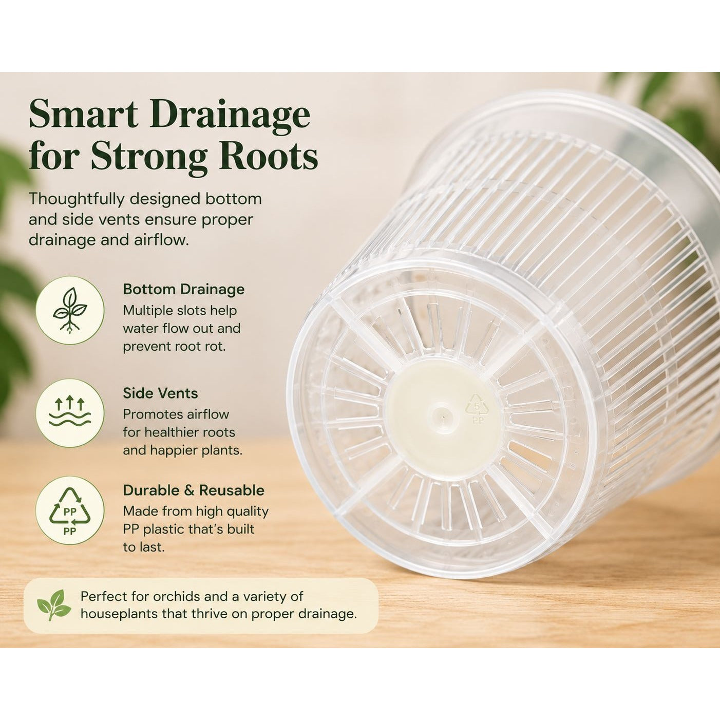 6 Inch Clear Orchid Pot with Saucer Slotted Planter Transparent Indoor Houseplant Repotting Pot