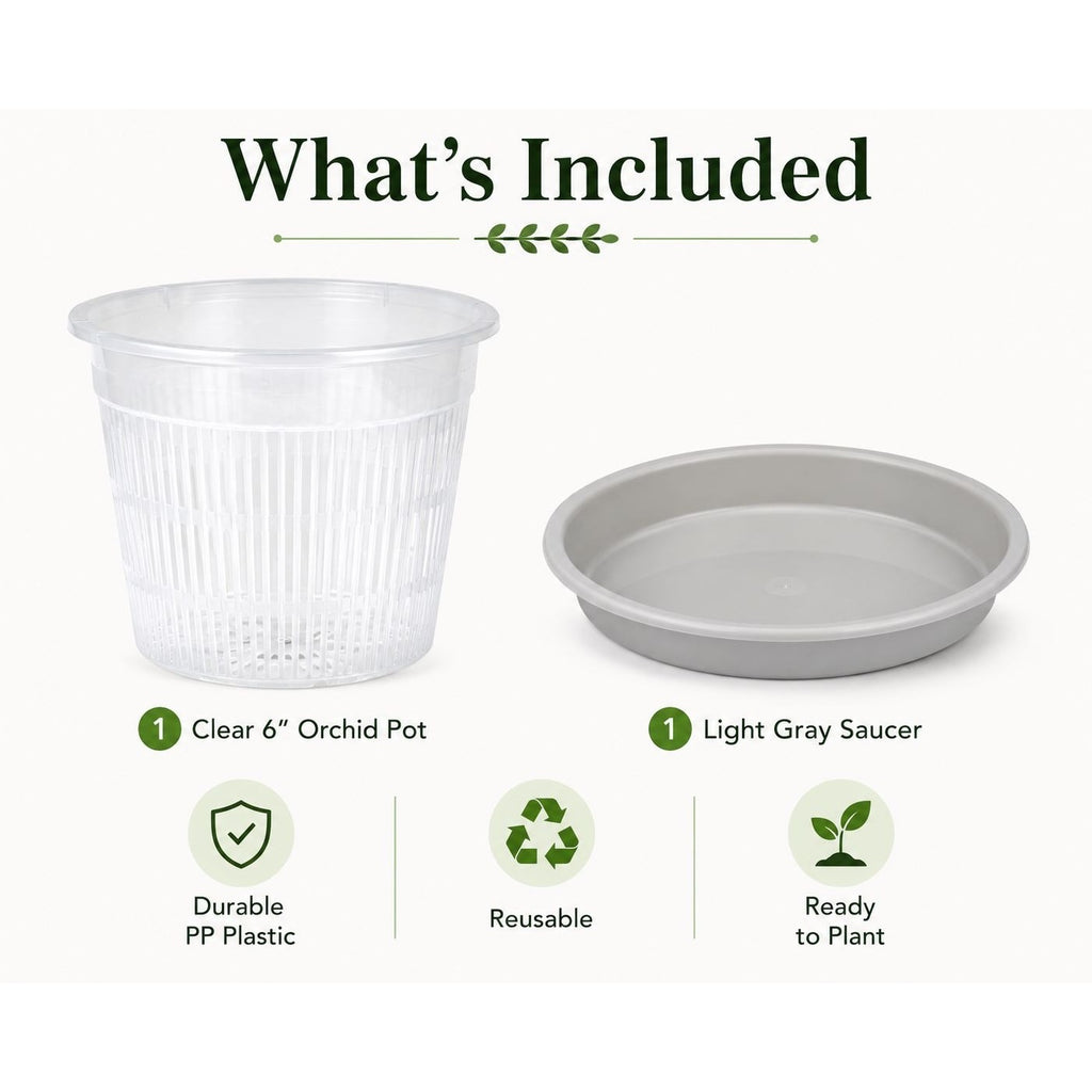 6 Inch Clear Orchid Pot with Saucer Slotted Planter Transparent Indoor Houseplant Repotting Pot