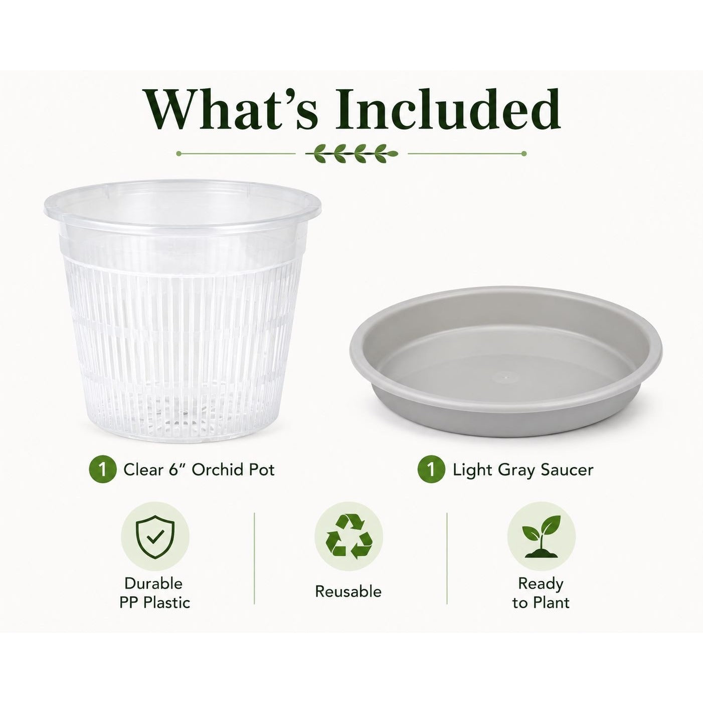 6 Inch Clear Orchid Pot with Saucer Slotted Planter Transparent Indoor Houseplant Repotting Pot