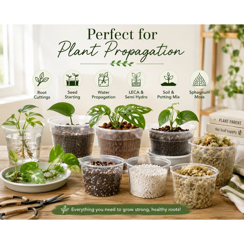 6 Inch Clear Orchid Pot with Saucer Slotted Planter Transparent Indoor Houseplant Repotting Pot