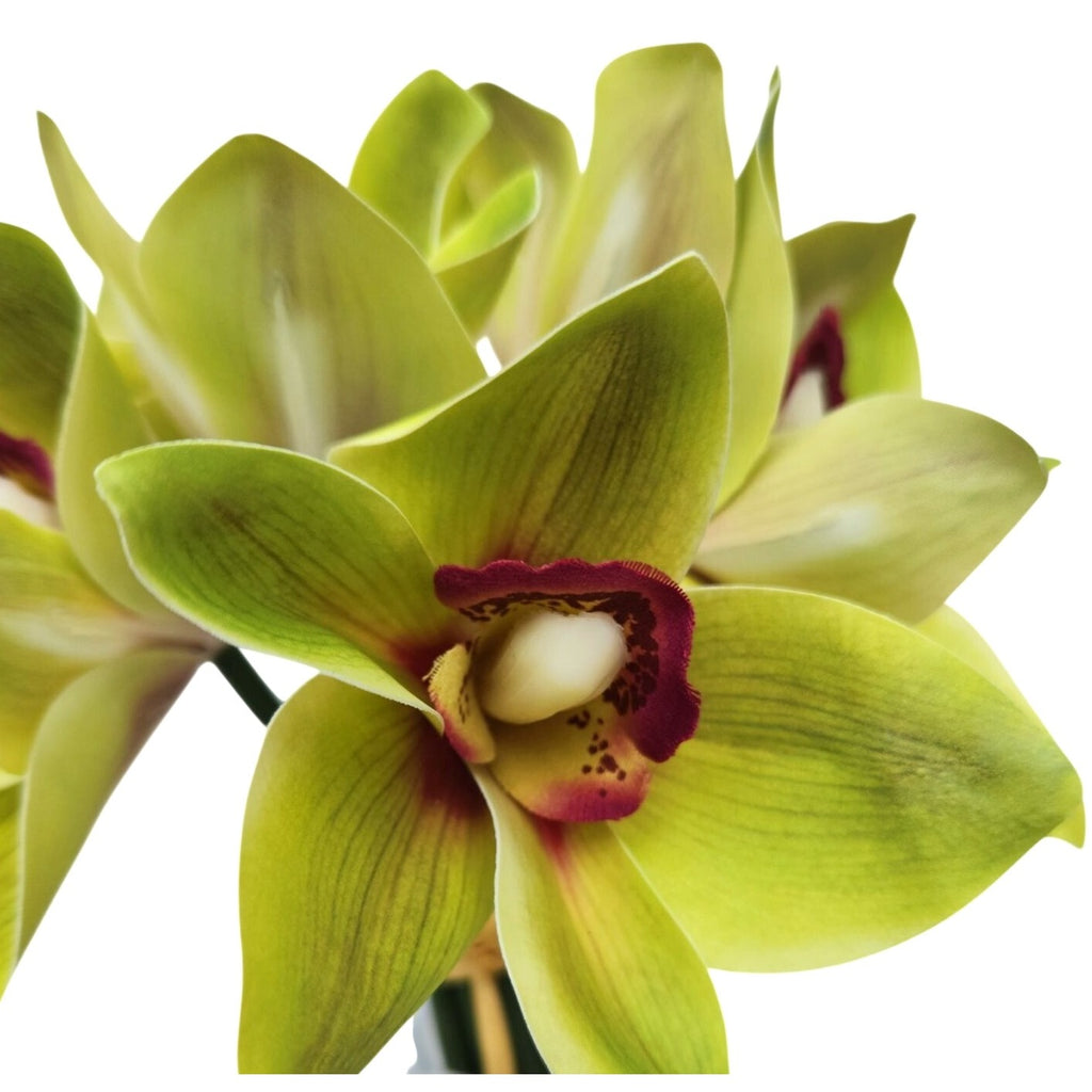 Artificial Green Cymbidium Orchid Stems Set of 5 Real Touch Faux Flowers Decor
