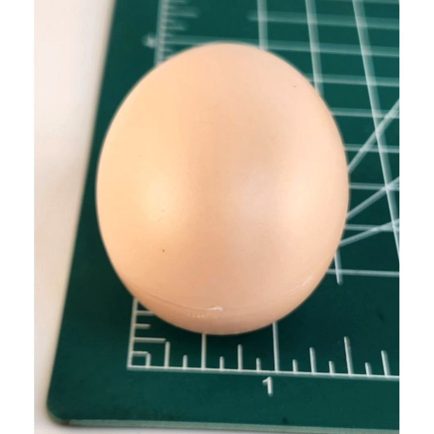 Realistic Plastic Chicken Eggs Set of 6 for Crafts | Fake Eggs for Easter Crafts
