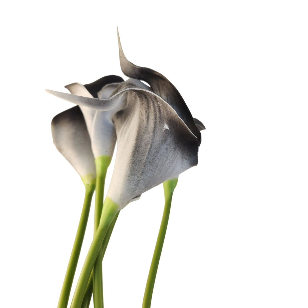 Black Gray White Artificial Calla Lily Stems, Set of 5, 15 Inch