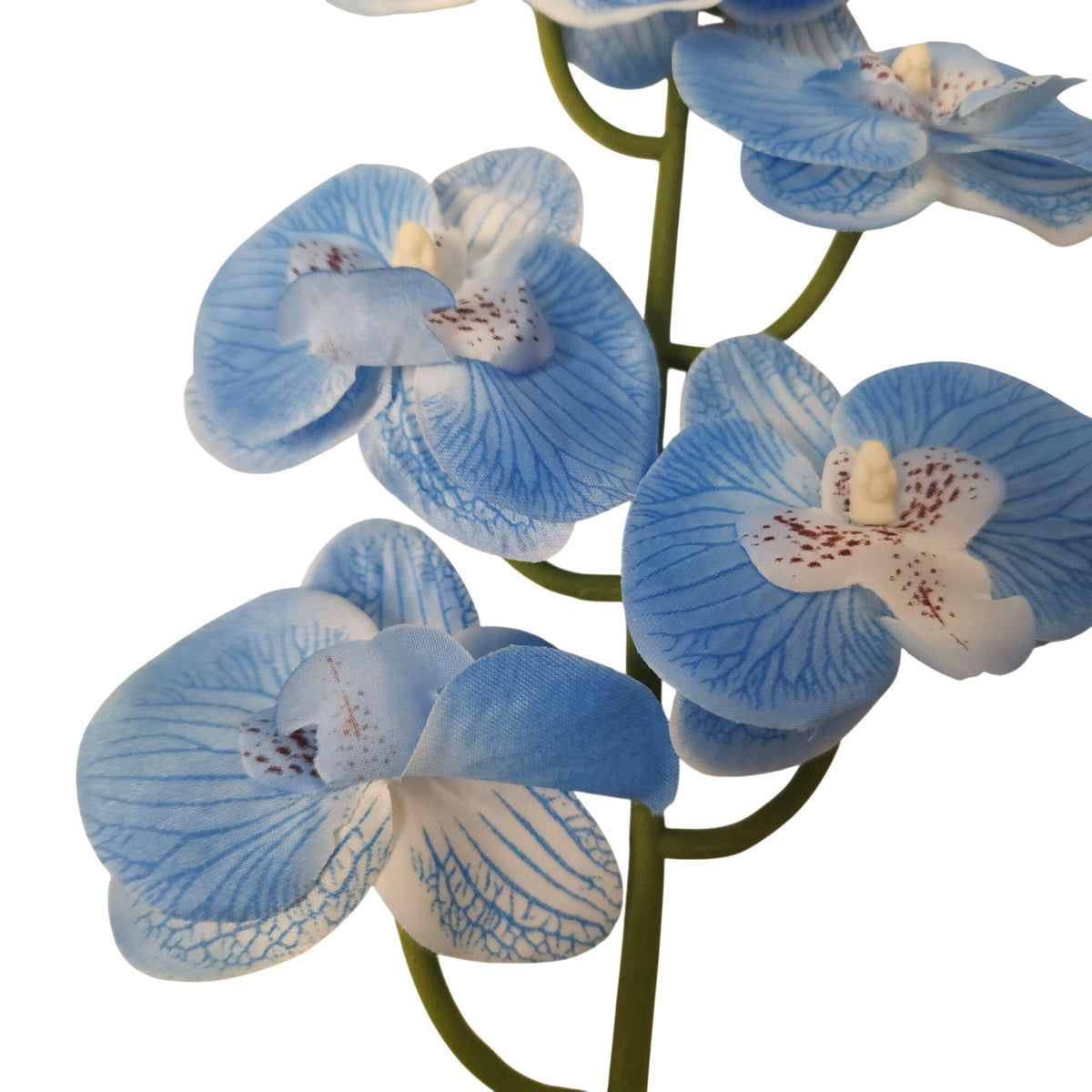 Blue Phalaenopsis Orchid Stem, 28-Inch Artificial Silk Tropical Flower