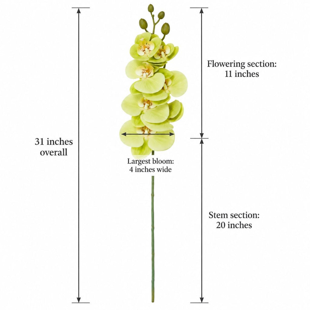 Green Phalaenopsis Orchid Stem, 31 Inch Real Touch Artificial Floral Pick