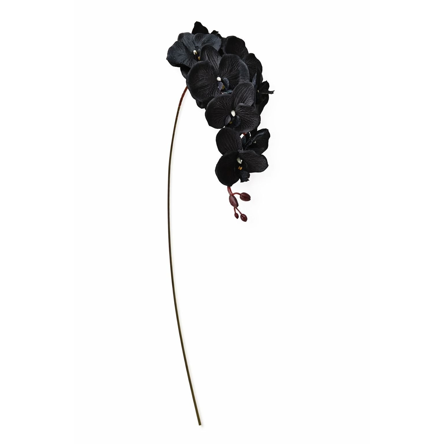 Black Orchid Stem Faux Flower Long Stem Floral 38 Inch Artificial Orchid Bloom Tropical Decor Wedding Arrangement Statement Piece