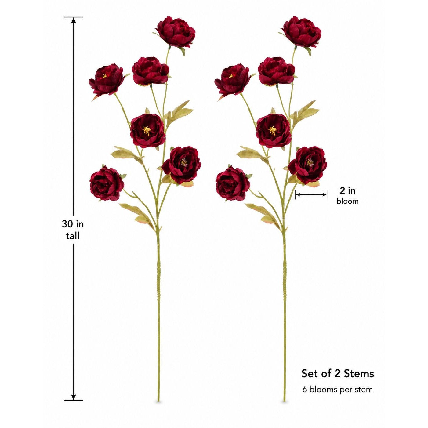 Two artificial rose stems with deep red blooms and green stems, shown on a white background with measurement labels indicating 30 in tall and 2 in bloom width. Text at bottom reads 'Set of 2 Stems' and '6 blooms per stem'.