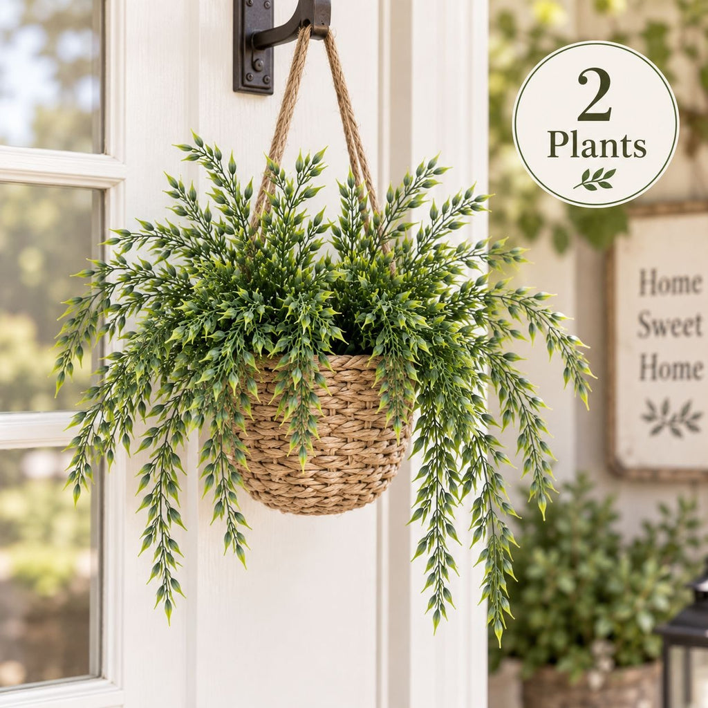 A hanging woven basket planter filled with two green leafy plants, suspended from a dark metal hook on a white front door. A circular badge in the top right reads '2 Plants'.