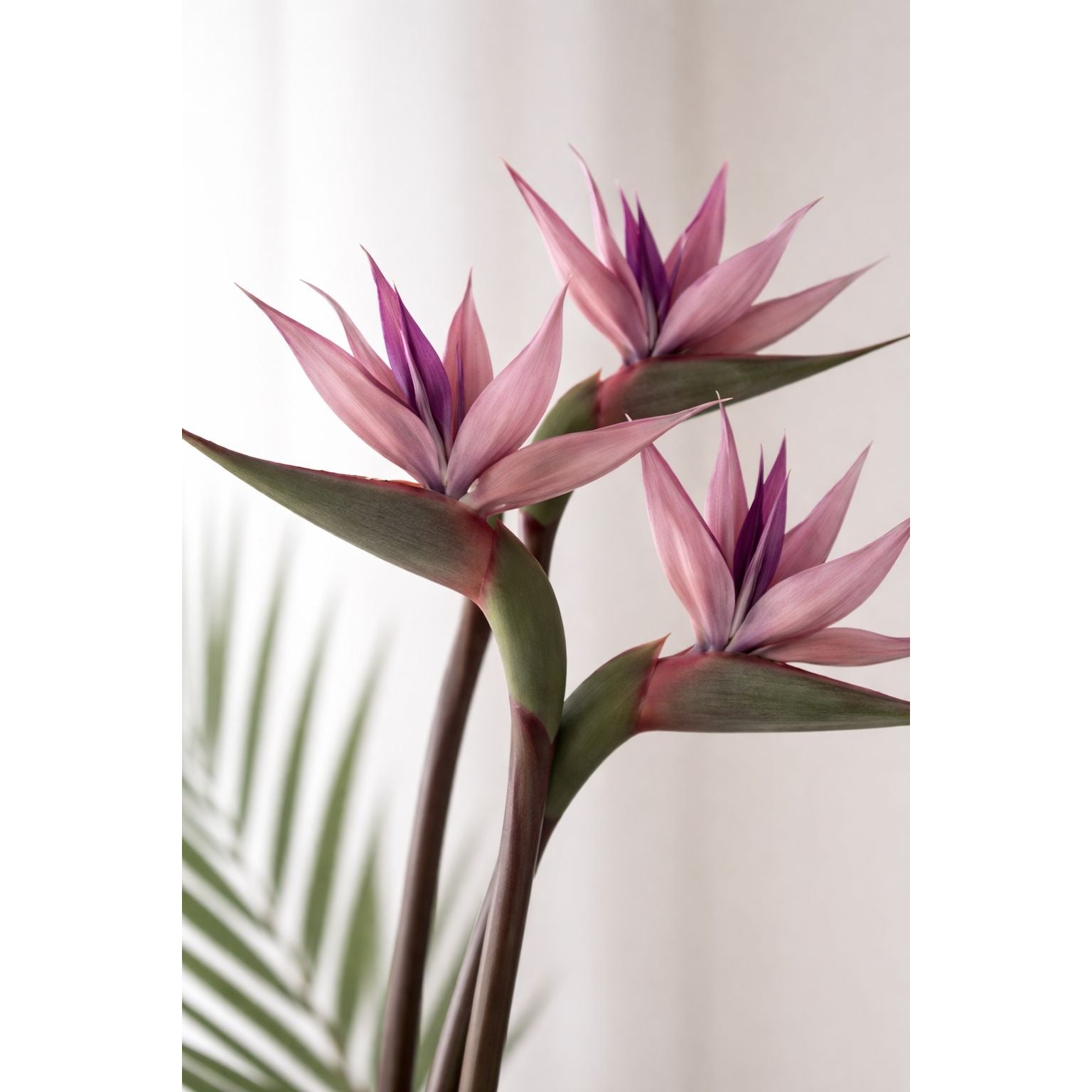 Blush Mauve Bird of Paradise Stems Set of 3 Faux Tropical Flowers 30 Inch Dusty Pink Purple Artificial Strelitzia