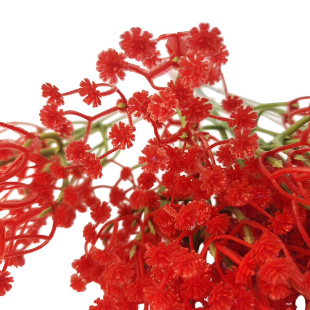 Artificial Candy Cane Poinsettia Set, 37 Red & White Christmas Floral Pieces