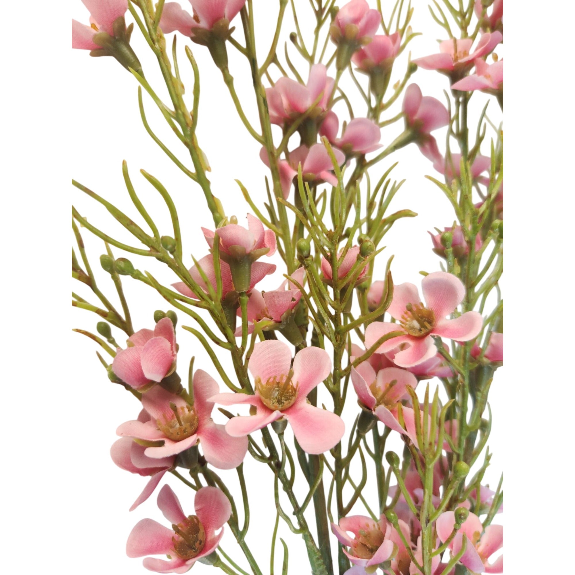 Artificial Two Tone Pink Dogwood Stems 2 Pcs Ombre Wax Flower Faux Floral Pink Decor 24 Inch