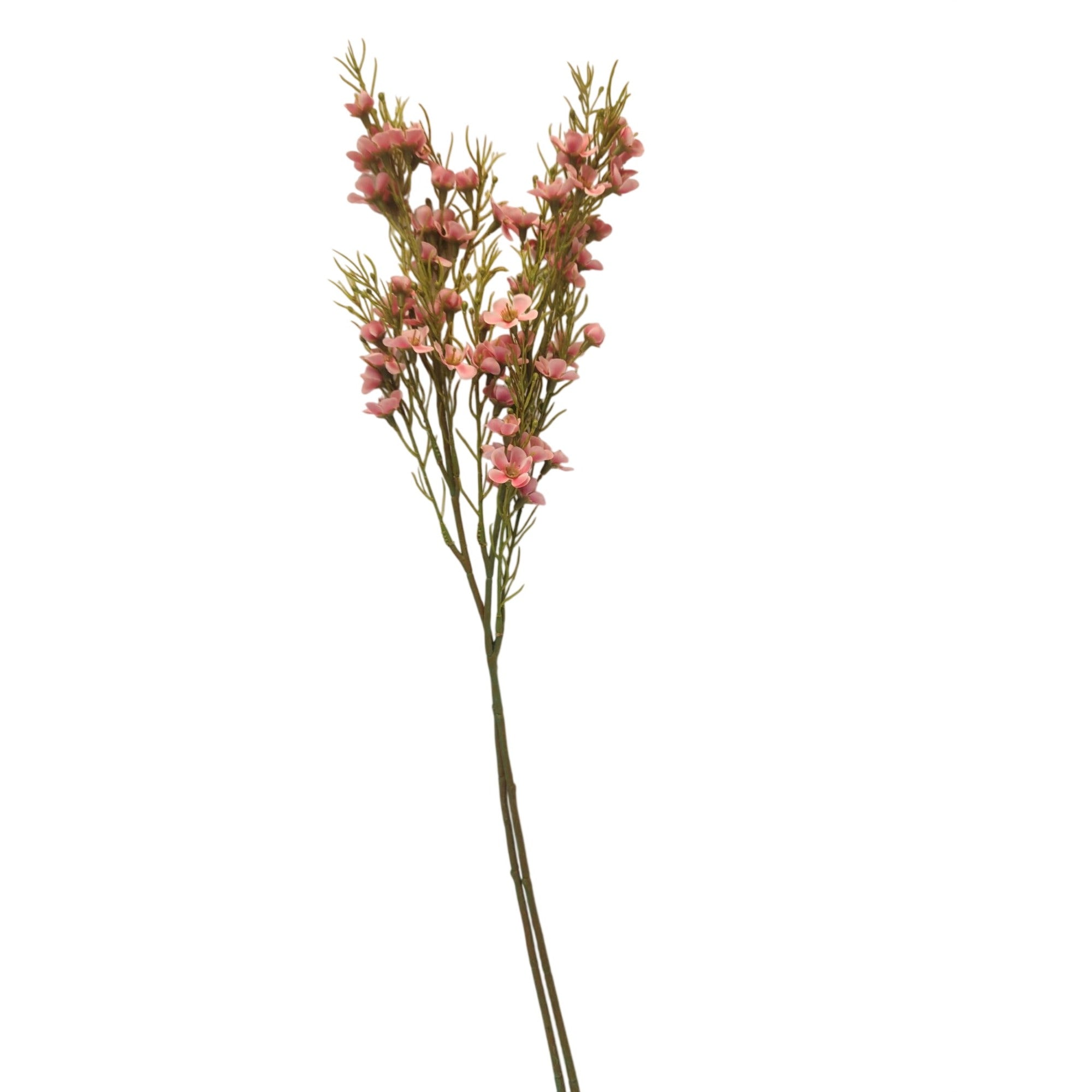 Artificial Two Tone Pink Dogwood Stems 2 Pcs Ombre Wax Flower Faux Floral Pink Decor 24 Inch