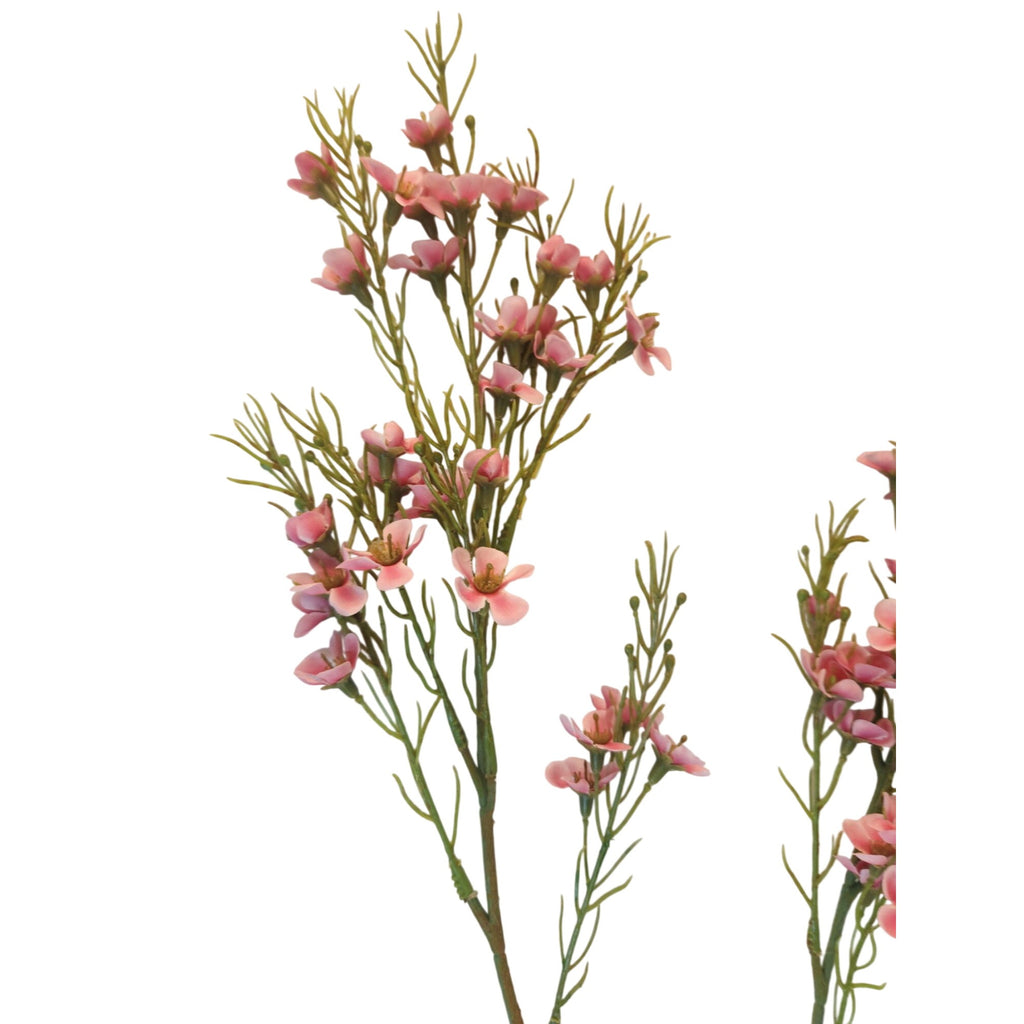 Artificial Two Tone Pink Dogwood Stems 2 Pcs Ombre Wax Flower Faux Floral Pink Decor 24 Inch