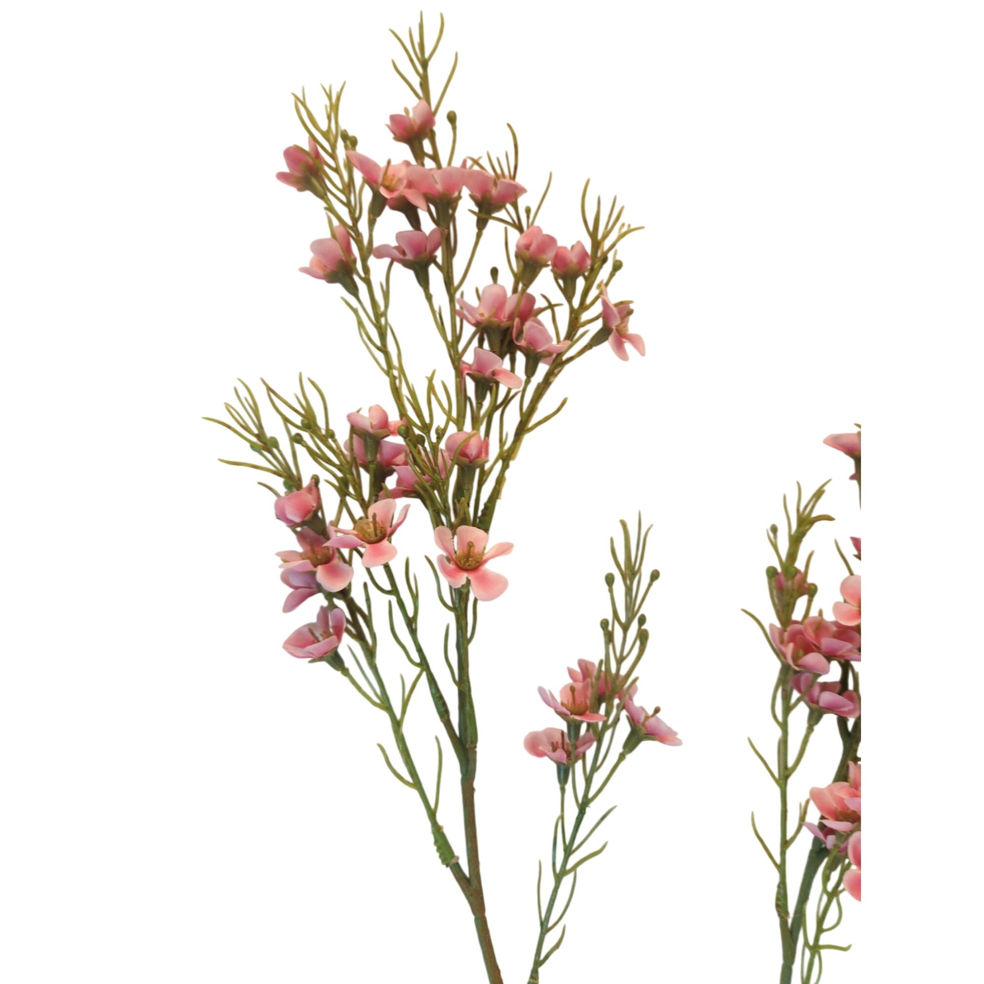 Artificial Two Tone Pink Dogwood Stems 2 Pcs Ombre Wax Flower Faux Floral Pink Decor 24 Inch