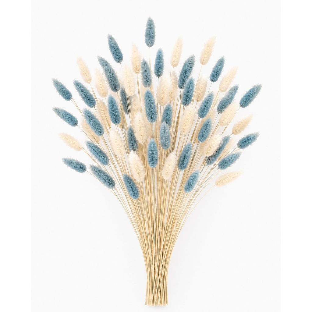 Cream Blue Bunny Tail Grass 70 Stems | 16 Inch Dusty Blue Dried Lagurus for Wedding Centerpieces Coastal Decor