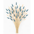 Cream Blue Bunny Tail Grass 70 Stems | 16 Inch Dusty Blue Dried Lagurus for Wedding Centerpieces Coastal Decor