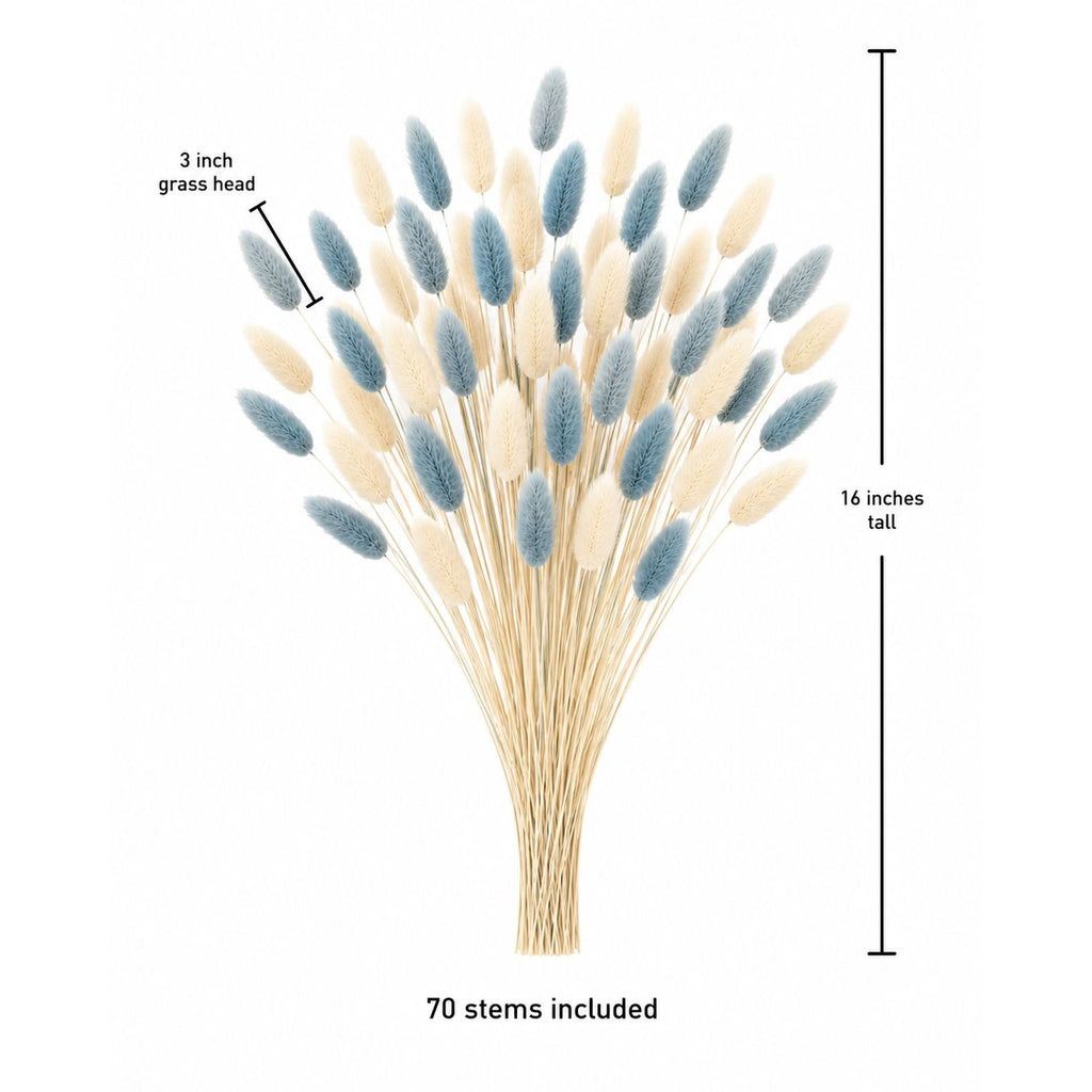 Cream Blue Bunny Tail Grass 70 Stems | 16 Inch Dusty Blue Dried Lagurus for Wedding Centerpieces Coastal Decor