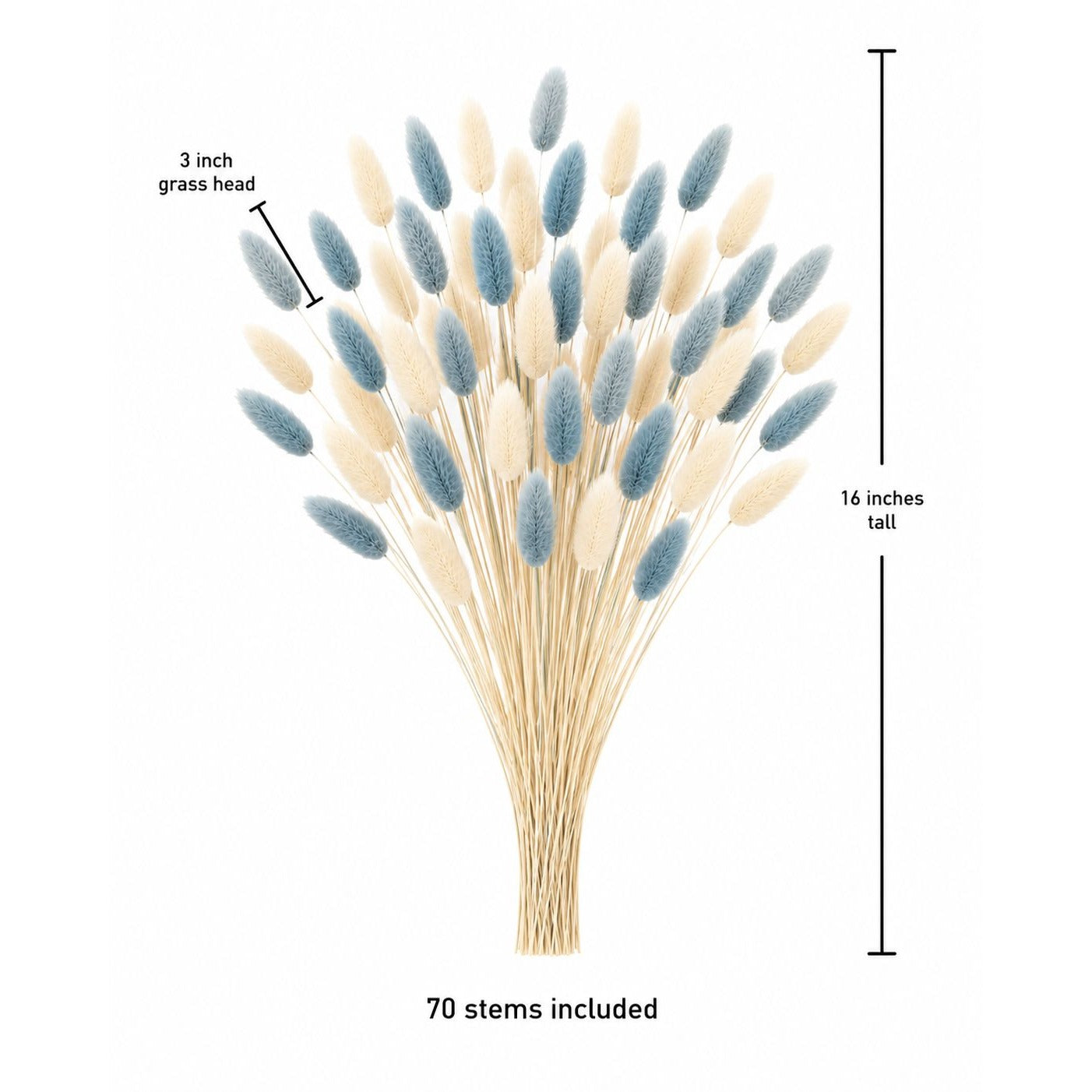 Cream Blue Bunny Tail Grass 70 Stems | 16 Inch Dusty Blue Dried Lagurus for Wedding Centerpieces Coastal Decor
