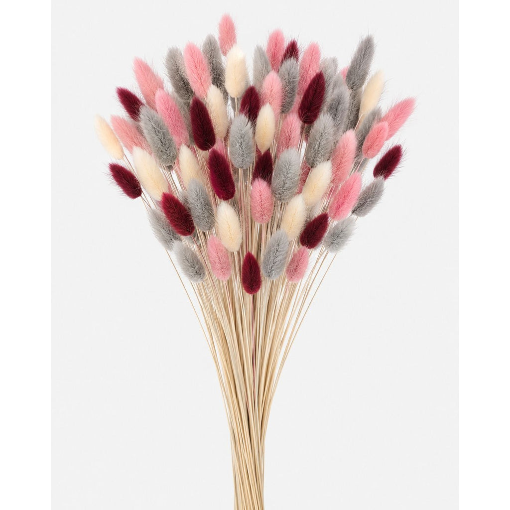 Burgundy Pink Bunny Tail Grass 70 Stems | 16 Inch Gray Cream Dyed Dried Lagurus for Fall Wedding Centerpieces Decor
