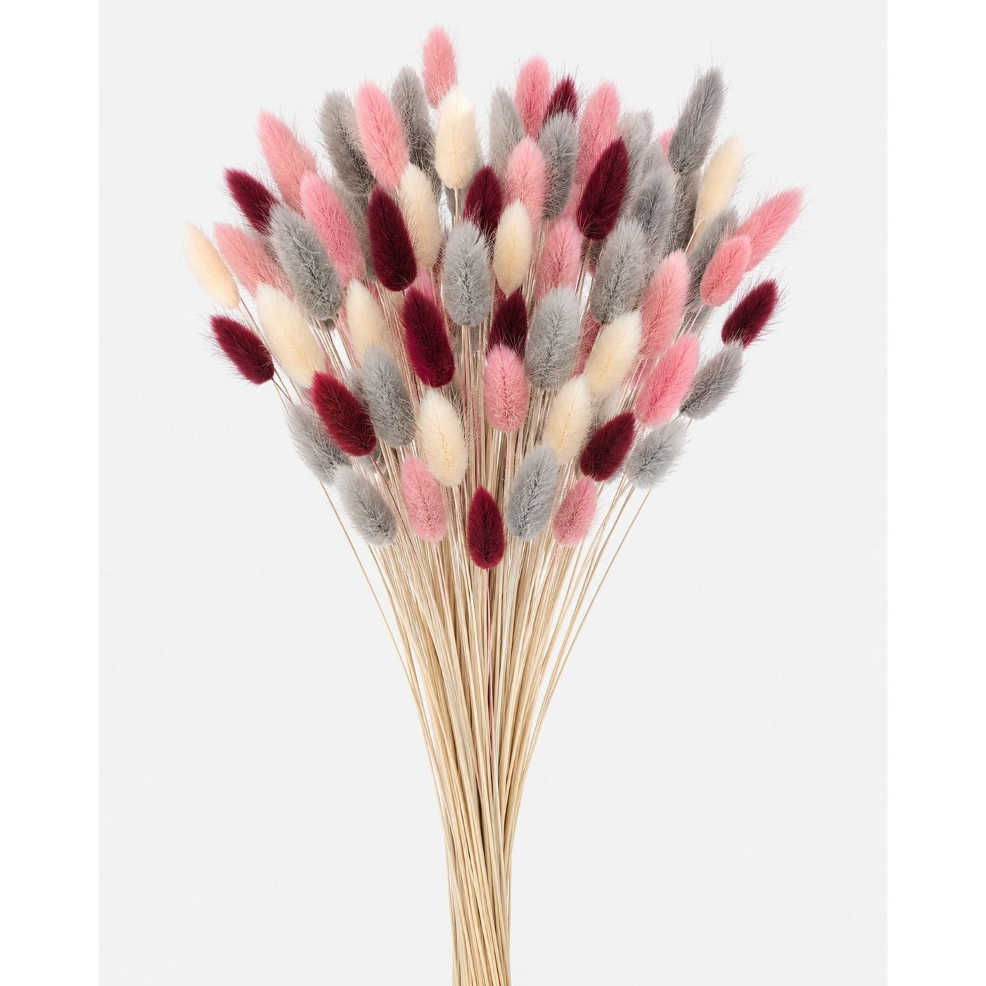 Burgundy Pink Bunny Tail Grass 70 Stems | 16 Inch Gray Cream Dyed Dried Lagurus for Fall Wedding Centerpieces Decor
