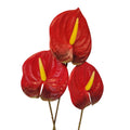 Red Artificial Anthurium Stems 23 Inch Faux Tropical Flowers Modern Home Decor