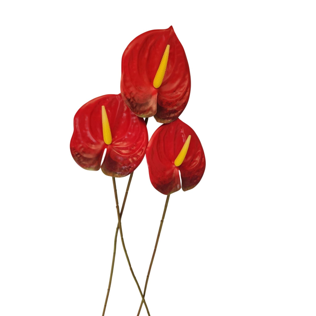 Red Artificial Anthurium Stems 23 Inch Faux Tropical Flowers Modern Home Decor